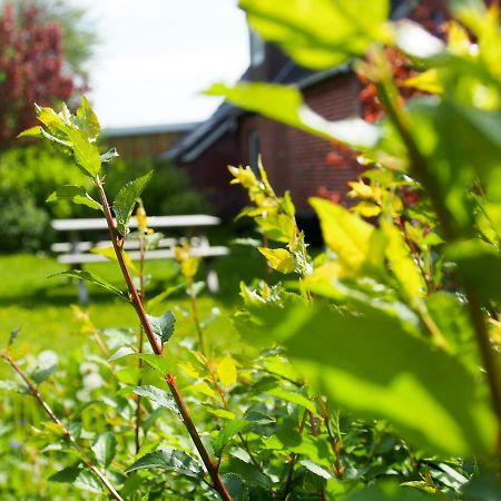 Deichtraum Hedwigenkoog Villa Dış mekan fotoğraf